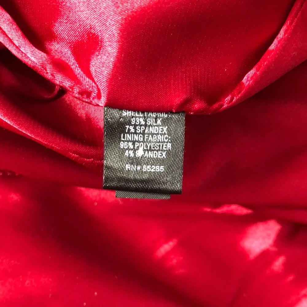 Express Silk Red Dress - Picture 8 of 8